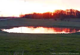 12,663 cubic feet ÷ 27 = 469 cubic yards. Should I Dredge My Farm Pond Hobby Farms