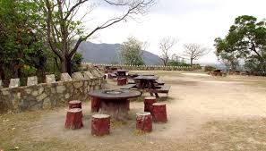 Search for text in self post contents. é¦æ¸¯åæå¤§æ£ å¤§æ¬ééå¬å'tai Lam Country Park Tai Tong Yuan Long Hong Kong Mapio Net
