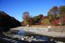 ウォーターパーク・シラヤマ - 歩楽～里（ぶら～り）よこぜ