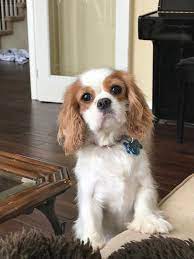 Maybe you would like to learn more about one of these? Mi Mindy S Web Page