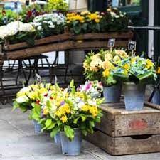 Send fresh flowers in madison, wi with the help of our top 10 best flower delivery services near you. Felly S Flowers Hulafrog Madison Wi