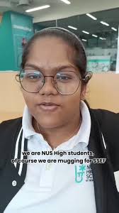 NUSH SSEF 2024 Students Showcase Their Achievements