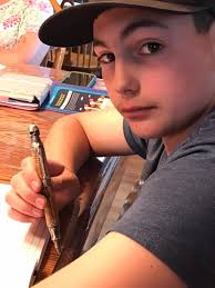 Olive wood in Gold Slim schmidt pen.