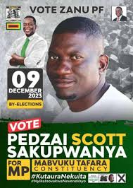 ZANU PF Ward 20