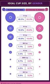 survey reveals what men and women think is the ideal breast