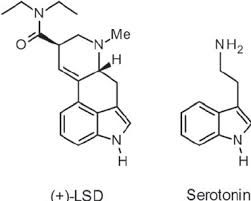 The dipole moment is 0.58 d, which increases with substitution of methyl groups in the series: Chemical Structures Of Lysergic Acid Diethylamide Lsd Left Panel Download Scientific Diagram