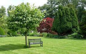 Solution4patio homes garden 3/4 in. Garden Background Back X
