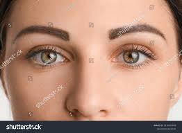 14,039 Yeux Noisette Images, Stock Photos, 3D objects, & Vectors