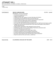What is a brand ambassador? Brand Ambassador Resume Sample Velvet Jobs