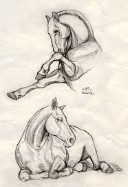 Moeilijk Paard Esbocos De Animais Desenhos Aleatorios Desenhos De Animais A Lapis