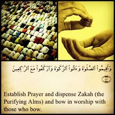 Pin On Islamic Quotes