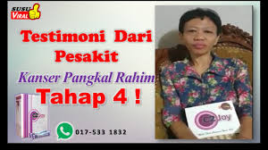 Serviks kanseri önemli bir sağlık sorunudur. Perkongsian Testimoni Dari Pesakit Kanser Tahap 4 017 533 1832 Youtube