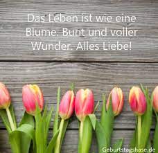 Wir können uns keinen besseren chef denken als sie! Nette Geburtstagswunsche Fur Den Chef Finden