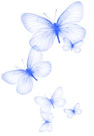 View full size butterflies flying away png clipart and download transparent clipart for free! Butterfly Fly Away Add This Cute Butterfly Sticker To Your Awesome Edits Butterfly Bluebutterfly Blu Butterfly Wallpaper Butterfly Clip Art Butterfly Art