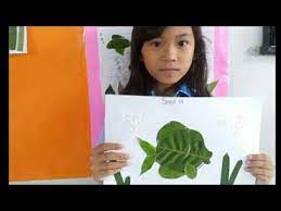 Check spelling or type a new query. Berkreasi Membuat Karya Mozaik Dari Daun Sbdp Kelas 3 Sd Rifanfajrin Com