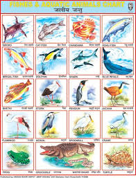 Fishes Aquatic Animals Hindi Alphabet Learn English