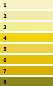 Does Peeing Clear Really Mean Youre Hydrated Trainingpeaks