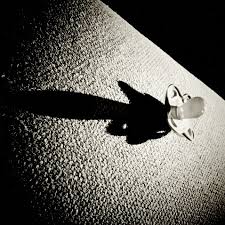 1333041437830 copy 1