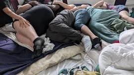 Community Cuddles Arvada