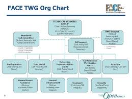Face Consortium Organization Structure Group Charters