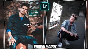 Lightroom Cc Mobile Brown Moody Preset Download For Mobile And Lightroom Pc In 2020 Lightroom Presets Tutorial Lightroom Presets Free Free Lightroom Presets Wedding