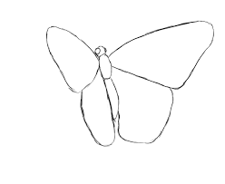 Thanks for watching and subscribe for more videos!in this video we paint a realistic butterfly shape fast. How To Draw A Butterfly Draw Central