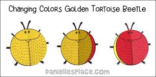We did not find results for: Golden Tortoise Beetle Paper Craft From Www Danillesplace Com Insect Crafts Spoon Crafts Paper Crafts For Kids