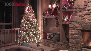 2'' replacement bulbs red or green. 50 Mini Lights Frosted White Red Green 25 Ft Stringer Youtube