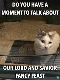 If Cats Had A Religion What Would They Worship Album On Imgur