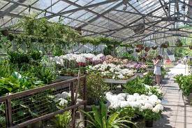 We did not find results for: Chestnut Hill Newton Ma Floral Gallery Winston Flowers