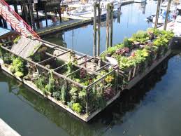 Inspiration Floating Garden Aquaponics Backyard Aquaponics