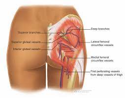 Non-surgical Buttock Augmentation - Rejuvenation Resource