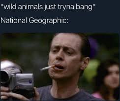 Things that are not aesthetic