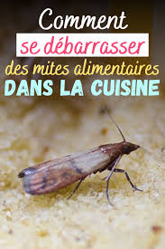 Epingle Sur Menage