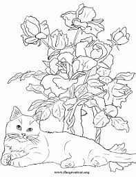Sleepy kittens printable coloring page. Pin On Craft Ideas