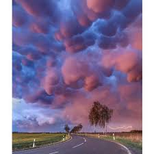 Mammatus (mamma or mammatocumulus), meaning mammary cloud , is a cellular pattern of pouches hanging underneath the base of a cloud , typically cumulonimbus rainclouds. Mammatus Outbreak C Boris Jordan Royal Meteorological Society