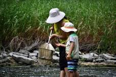 Creek Creatures