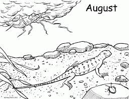 August to us is all about squeezing all the last moments of summer before the kids are back to school. National Geographic Kids Coloring Pages Coloring Home