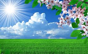 Browse through even more hd photos and videos: Hd Wallpapers Background Images Free Download Poto Butut