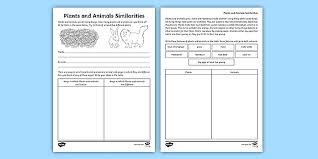 We did not find results for: Difference Between Plants And Animals How Plants Make Food