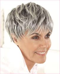 French Crop Frisur In 2020 Short Grey Hair Grey Hair Styles For Women Hairstyle
