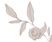 No thrills or frills, jus. Preferred Vendor Program Simply Elegant Group