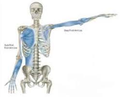 Pin On Pain