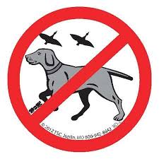 No Bird Dogging Hard Hat Stickers Union Stickers Hard Hat Stickers Hard Hat Decals Bumper Stickers