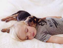 This Puppy And Baby Are The Most Adorable Nap Time Pals Cute Animals Animals Baby Animals