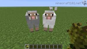 Have you ever wondered which animals are the biggest threat to humans? Farming Sheep Cows And Pigs Cow Sheep Cow Photos