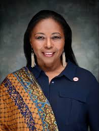 Volunteer Leadership Team