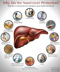 Once you eliminate the sodium loaded processed foods, you can add the appropriate amount of salt in to your cooking to add flavor. 16 Cirrhosis Of The Liver Friendly Foods Ideas In 2021 Liver Diet Healthy Liver Fatty Liver Diet