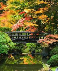garden japan jardin japonais beaux jardins jardin asiatique
