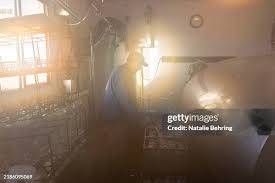 24 Photos & High Res Pictures